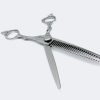RAPTOR TEXTURISER